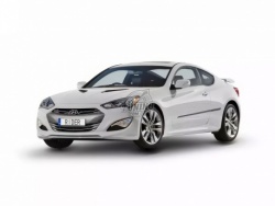 Молдинги дверей Hyundai Genesis Coupe 09-14 Rider