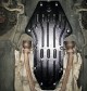Защита двигателя BMW 6 Series E63 2005-2010 Полигон - фото 1