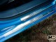 Матовые накладки на пороги Citroen C3 Picasso 2009- Premium - фото 1